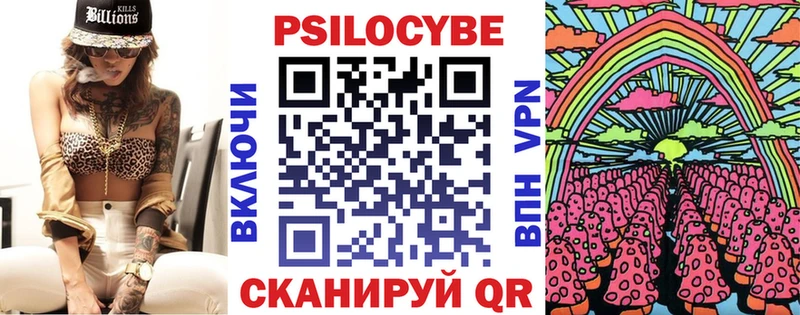 мега ссылка  Чаплыгин  Галлюциногенные грибы Cubensis 
